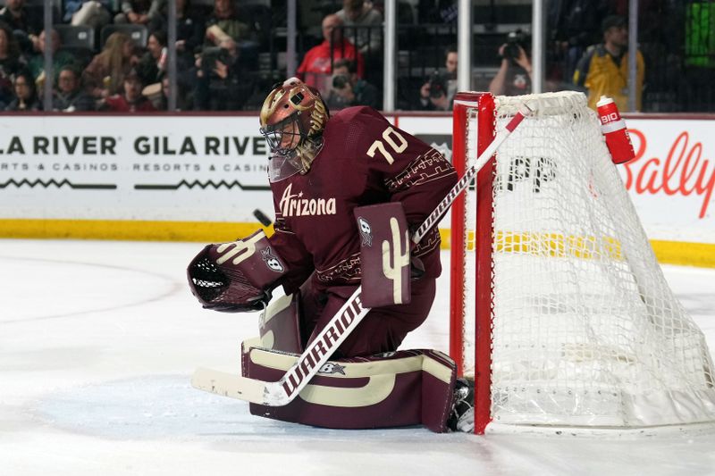 Mar 3, 2023; Tempe, Arizona, USA; Arizona Coyotes goaltender Karel Vejmelka (70) makes a save against the Carolina Hurricanes during the first period at Mullett Arena. Mandatory Credit: Joe Camporeale-USA TODAY Sports