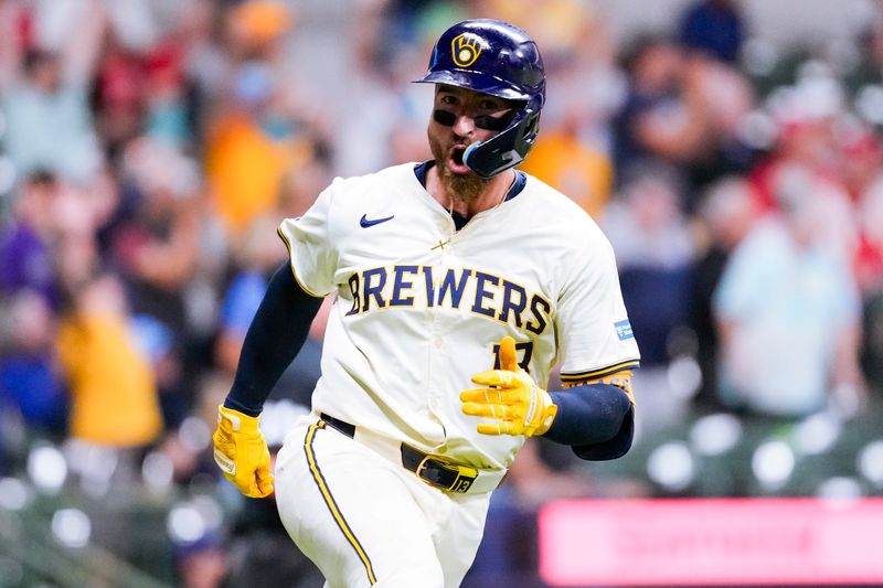 Sep 4, 2024; Milwaukee, Wisconsin, USA;  Milwaukee Brewers catcher Eric Haase (13) reacts after hitting a home run during the eighth inning against the St. Louis Cardinals at American Family Field. Mandatory Credit: Jeff Hanisch-Imagn Images