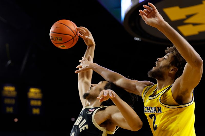 Feb 25, 2024; Ann Arbor, Michigan, USA;  Purdue Boilermakers forward Trey Kaufman-Renn (4) fouls Michigan Wolverines forward Tray Jackson (2) in the first half at Crisler Center. Mandatory Credit: Rick Osentoski-USA TODAY Sports