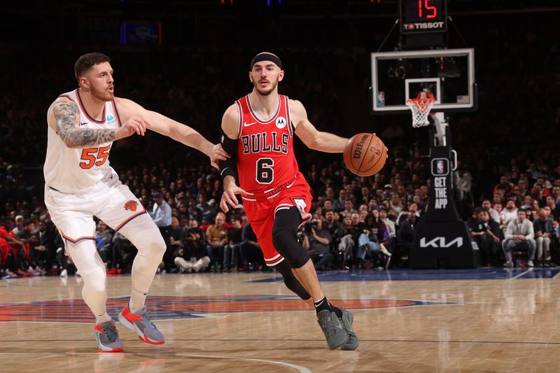 NEW YORK, NY - JANUARY 3: Alex Caruso #6 of the Chicago Bulls drives to the basket during the game against the New York Knicks on January 3, 2024 at Madison Square Garden in New York City, New York.  NOTE TO USER: User expressly acknowledges and agrees that, by downloading and or using this photograph, User is consenting to the terms and conditions of the Getty Images License Agreement. Mandatory Copyright Notice: Copyright 2024 NBAE  (Photo by Nathaniel S. Butler/NBAE via Getty Images)