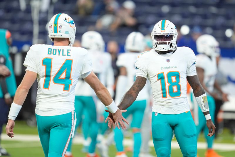 Miami Dolphins quarterbacks Tyler Huntley (18) and Tim Boyle (14) greet each other as they warm up before the start of an NFL football game against the Indianapolis Colts, Sunday, Oct. 20, 2024 in Indianapolis. (AP Photo/Michael Conroy)