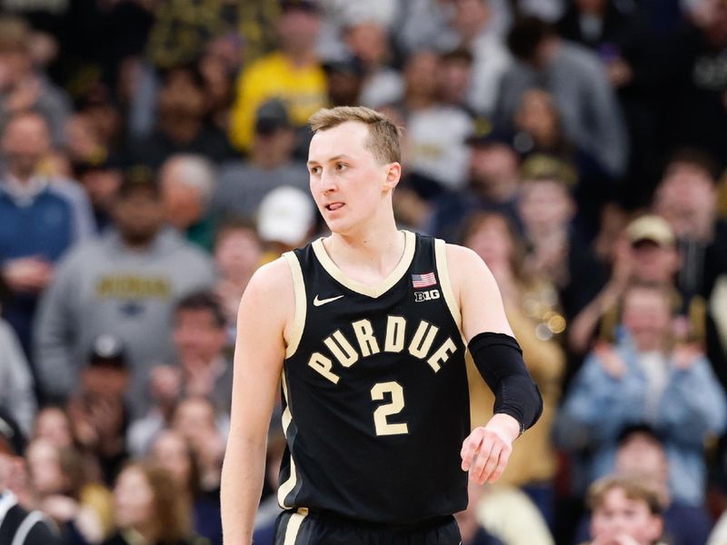 Michigan Wolverines and Purdue Boilermakers trade paint touches as United Center crown goes to P...