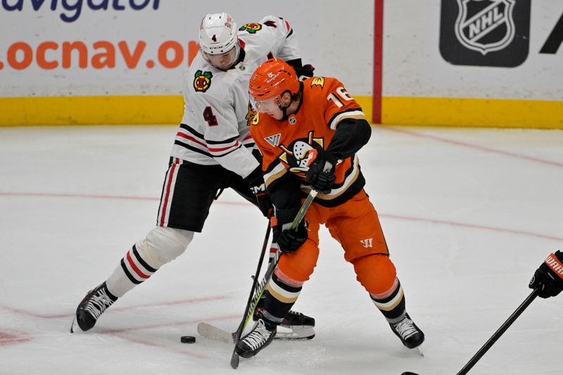 Nov 3, 2024; Anaheim, California, USA;  Anaheim Ducks center Ryan Strome (16) and Chicago Blackhawks defenseman Seth Jones (4) battle for the puck in the third period at Honda Center. Mandatory Credit: Jayne Kamin-Oncea-Imagn Images