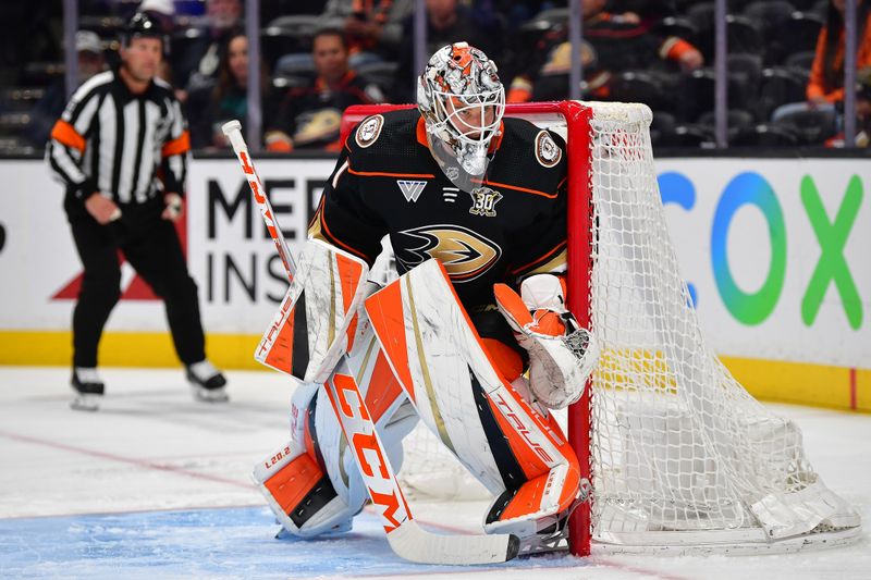 Apr 7, 2024; Anaheim, California, USA; Anaheim Ducks goaltender Lukas Dostal (1) defends the goal against the St. Louis Blues during the first period at Honda Center. Mandatory Credit: Gary A. Vasquez-USA TODAY Sports