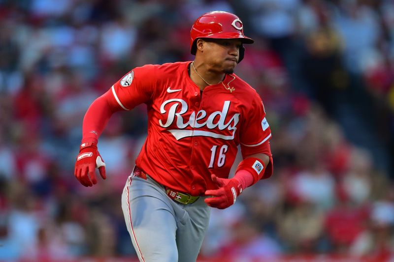 Aug 20, 2025; Anaheim, California, USA; Cincinnati Reds right fielder Noelvi Marte (16) runs after hitting an RBI single against the Los Angeles Angels during the third inning at Angel Stadium. Mandatory Credit: Gary A. Vasquez-Imagn Images