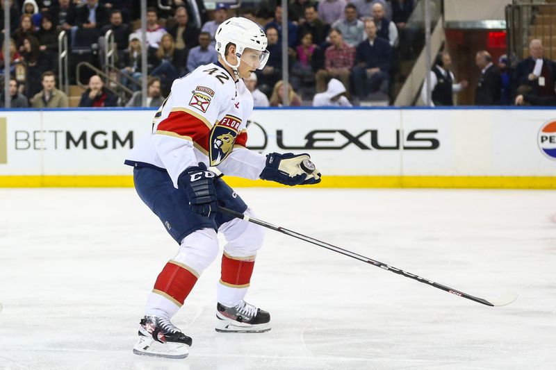 Mar 4, 2024; New York, New York, USA;  Florida Panthers defenseman Gustav Forsling (42) catches the puck in the first period against the New York Rangers at Madison Square Garden. Mandatory Credit: Wendell Cruz-USA TODAY Sports