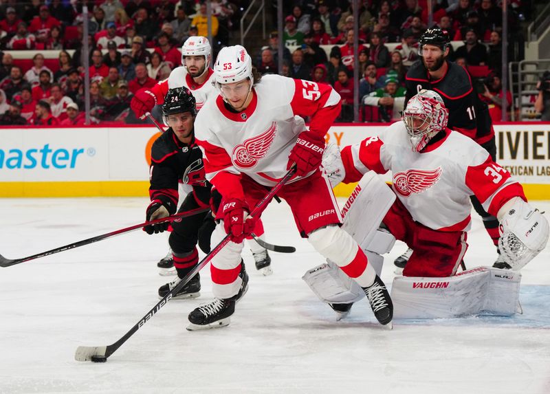 Jan 19, 2024; Raleigh, North Carolina, USA; Detroit Red Wings defenseman Moritz Seider (53) skate with the puck out in front of the net against Carolina Hurricanes center Seth Jarvis (24) during the third period at PNC Arena. Mandatory Credit: James Guillory-USA TODAY Sports