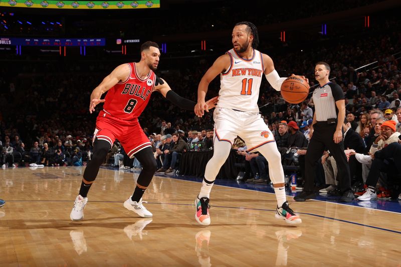 NEW YORK, NY - NOVEMBER 13: Jalen Brunson #11 of the New York Knicks handles the ball during the game against the Chicago Bulls on November 13, 2024 at Madison Square Garden in New York City, New York.  NOTE TO USER: User expressly acknowledges and agrees that, by downloading and or using this photograph, User is consenting to the terms and conditions of the Getty Images License Agreement. Mandatory Copyright Notice: Copyright 2024 NBAE  (Photo by Joe Murphy/NBAE via Getty Images)