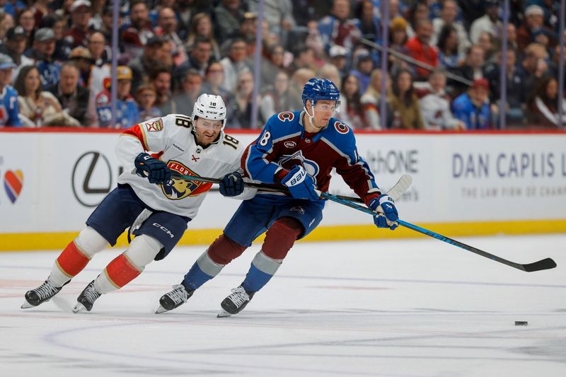 Dec 11, 2025; Denver, Colorado, USA; Florida Panthers left wing Noah Gregor (18) and Colorado Avalanche center Jack Drury (18) battle for the puck in the second period at Ball Arena. Mandatory Credit: Isaiah J. Downing-Imagn Images