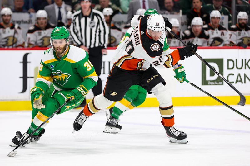 Jan 27, 2024; Saint Paul, Minnesota, USA; Minnesota Wild right wing Ryan Hartman (38) and Anaheim Ducks right wing Brett Leason (20) compete for the puck during the second period at Xcel Energy Center. Mandatory Credit: Matt Krohn-USA TODAY Sports