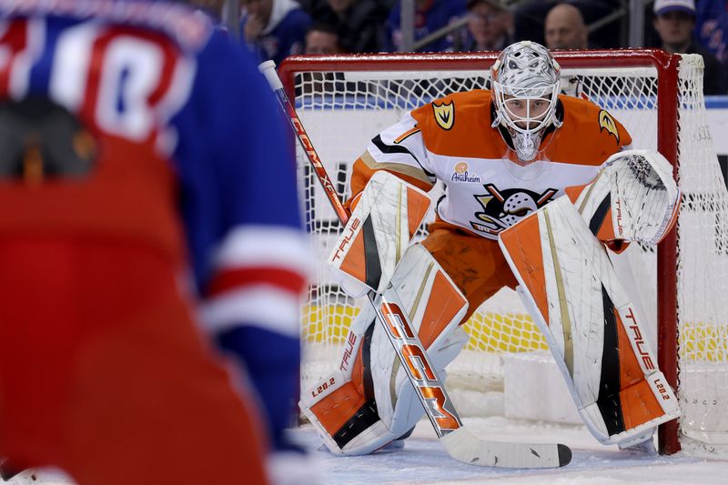 Oct 26, 2024; New York, New York, USA; Anaheim Ducks goaltender Lukas Dostal (1) tends net against New York Rangers left wing Artemi Panarin (10) during the first period at Madison Square Garden. Mandatory Credit: Brad Penner-Imagn Images