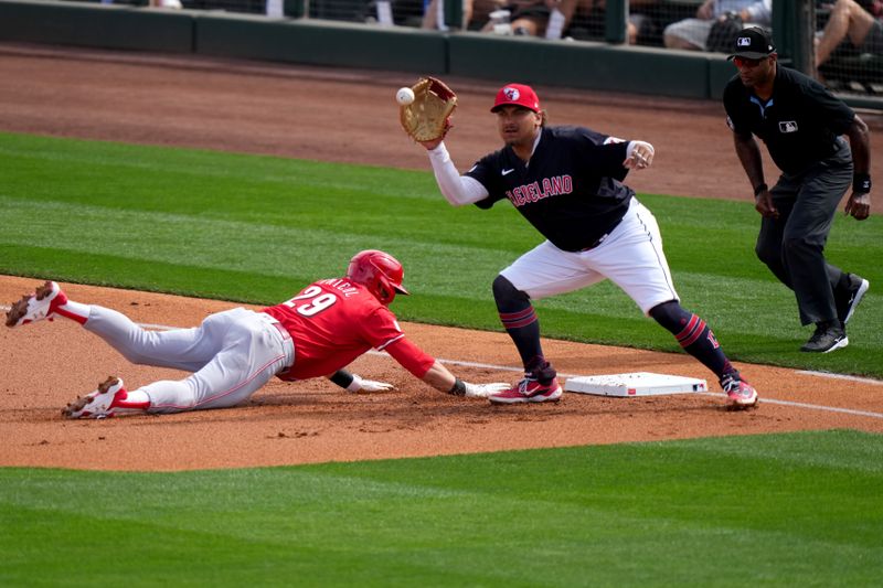 Feb. 24, 2024; Goodyear, Arizona, USA; Cincinnati Reds center fielder TJ Friedl (29) dives back to first base on a pick-off attempt from Cleveland Guardians pitcher Carlos Carrasco in the first inning during a MLB spring training baseball game at Goodyear Ballpark. Mandatory Credit: Kareem Elgazzar-USA TODAY Sports