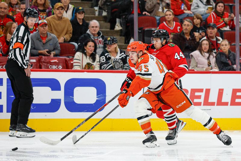 Oct 19, 2025; Chicago, Illinois, USA; Chicago Blackhawks defenseman Wyatt Kaiser (44) defends against Anaheim Ducks right wing Beckett Sennecke (45) during the first period at United Center. Mandatory Credit: Kamil Krzaczynski-Imagn Images