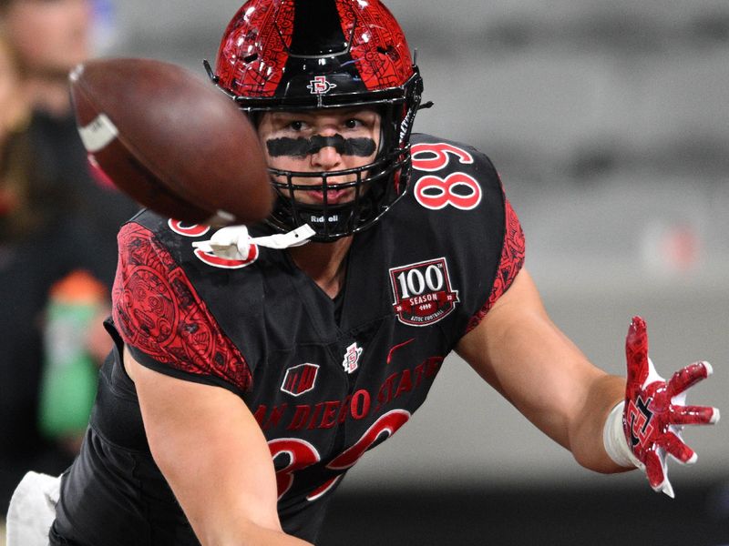 Nov 26, 2022; San Diego, California, USA; San Diego State Aztecs tight end Logan Tanner (89) warms up before the game against the Air Force Falcons at Snapdragon Stadium. Mandatory Credit: Orlando Ramirez-USA TODAY Sports