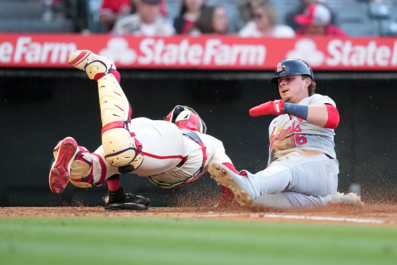 May 14, 2024; Anaheim, California, USA; St. Louis Cardinals second baseman Nolan Gorman (16) slides into home plate to score in the second inning as Los Angeles Angels catcher Logan O'Hoppe (14) watches at Angel Stadium. Mandatory Credit: Kirby Lee-USA TODAY Sports