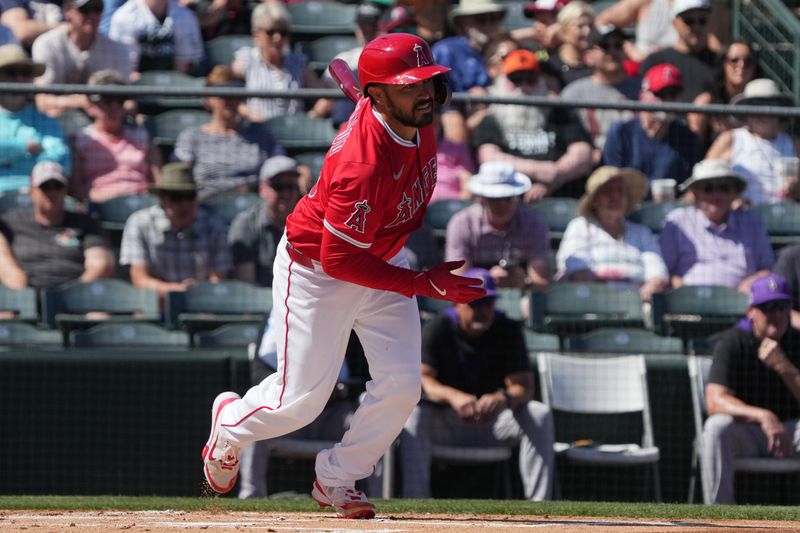 Mar 10, 2025; Tempe, Arizona, USA; Los Angeles Angels catcher Travis d'Arnaud (25) hits against the Colorado Rockies in the first inning at Tempe Diablo Stadium. Mandatory Credit: Rick Scuteri-Imagn Images