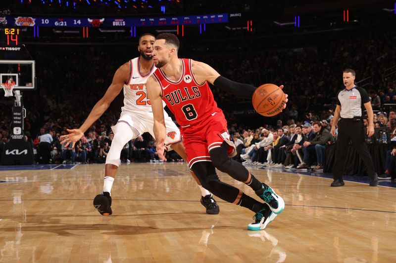 NEW YORK, NY - NOVEMBER 13: Zach LaVine #8 of the Chicago Bulls handles the ball during the game against the New York Knicks on November 13, 2024 at Madison Square Garden in New York City, New York.  NOTE TO USER: User expressly acknowledges and agrees that, by downloading and or using this photograph, User is consenting to the terms and conditions of the Getty Images License Agreement. Mandatory Copyright Notice: Copyright 2024 NBAE  (Photo by Joe Murphy/NBAE via Getty Images)