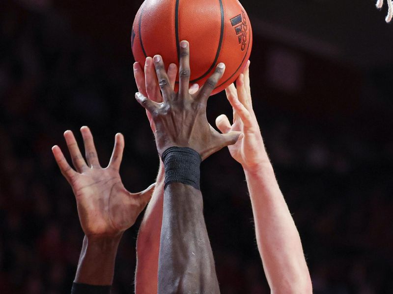 Feb 29, 2024; Piscataway, New Jersey, USA; Rutgers Scarlet Knights center Clifford Omoruyi (11) rebounds against Michigan Wolverines forward Will Tschetter (42) during the first half at Jersey Mike's Arena. Mandatory Credit: Vincent Carchietta-USA TODAY Sports