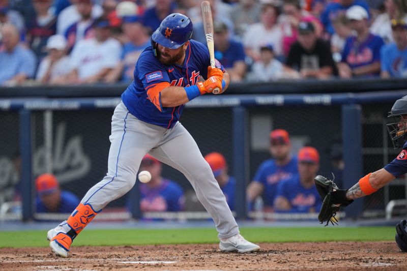 Mar 16, 2024; West Palm Beach, Florida, USA;  New York Mets right fielder DJ Stewart (29) gets hit above the right knee in the third inning against the Houston Astros at CACTI Park of the Palm Beaches. Mandatory Credit: Jim Rassol-USA TODAY Sports