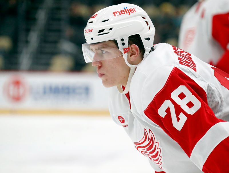 Oct 1, 2024; Pittsburgh, Pennsylvania, USA;  Detroit Red Wings right wing Michael Brandsegg-Nygård (28) looks on at the face-off circle against the Pittsburgh Penguins during the second period at PPG Paints Arena. Mandatory Credit: Charles LeClaire-Imagn Images