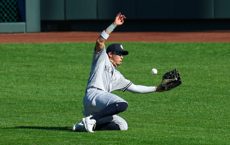 Oct 1, 2023; Kansas City, Missouri, USA; New York Yankees right fielder Oswaldo Cabrera (95) is unable to make the catch during the fifth inning against the Kansas City Royals at Kauffman Stadium. Mandatory Credit: Jay Biggerstaff-USA TODAY Sports