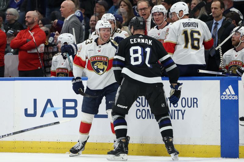 Feb 17, 2024; Tampa, Florida, USA;  Tampa Bay Lightning defenseman Erik Creak (81) and Florida Panthers center Carter Verhaeghe (23) fight in the second period at Amalie Arena. Mandatory Credit: Nathan Ray Seebeck-USA TODAY Sports