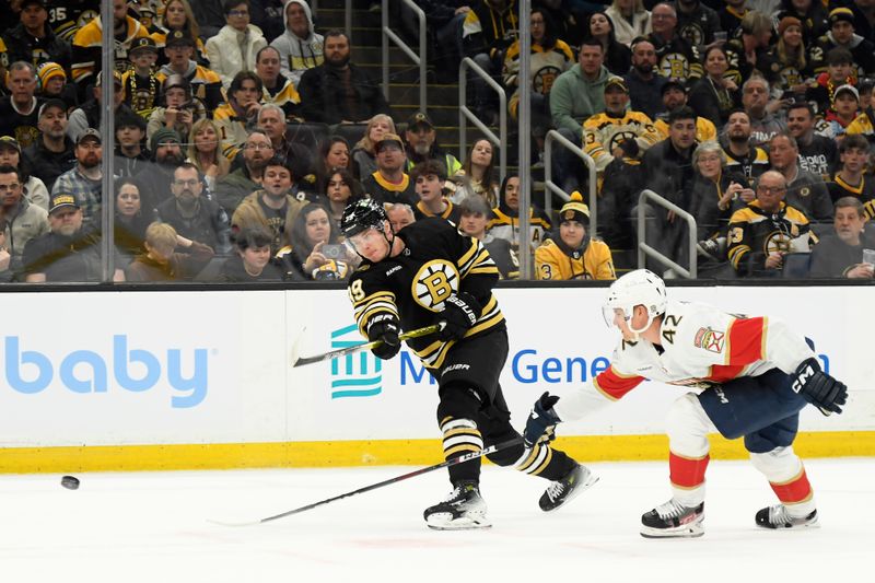 Apr 6, 2024; Boston, Massachusetts, USA; Boston Bruins center Morgna Geekie (39) shoots the puck while Florida Panthers defenseman Gustav Forsling (42) defends during the first period at TD Garden. Mandatory Credit: Bob DeChiara-USA TODAY Sports