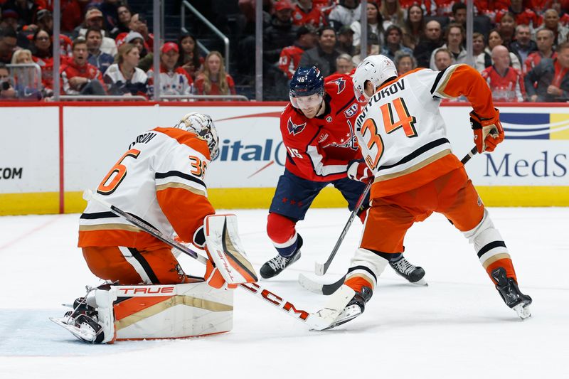 Jan 14, 2025; Washington, District of Columbia, USA; Anaheim Ducks goaltender John Gibson (36) makes a save on Washington Capitals right wing Taylor Raddysh (16) as Ducks defenseman Pavel Mintyukov (34) defends in the first period at Capital One Arena. Mandatory Credit: Geoff Burke-Imagn Images