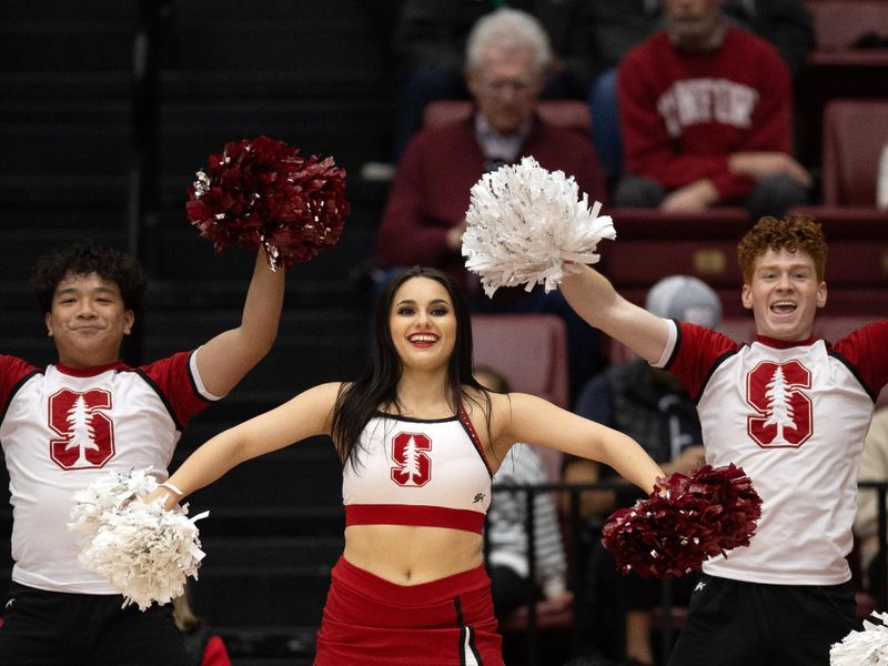 Jan 14, 2024; Stanford, California, USA; Stanford Cardinal cheerleaders encourage their team against the Utah Utes during the second half at Maples Pavilion. Mandatory Credit: D. Ross Cameron-USA TODAY Sports