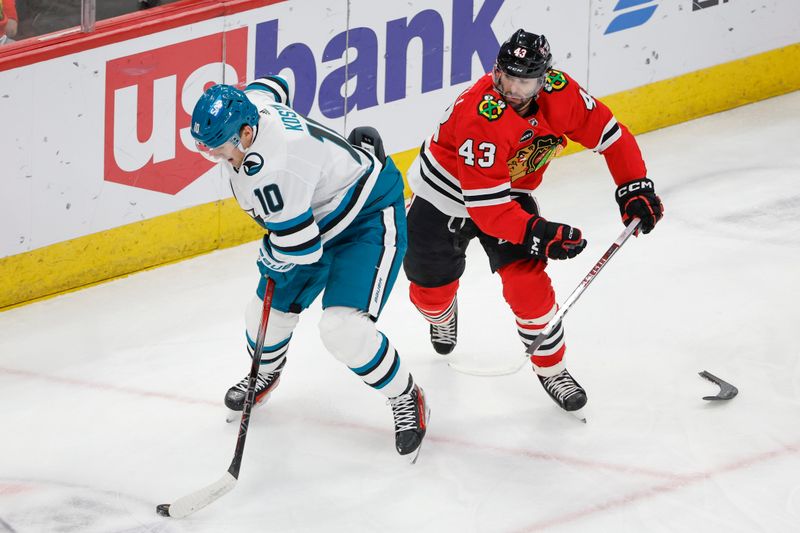 Mar 17, 2024; Chicago, Illinois, USA; San Jose Sharks center Klim Kostin (10) keeps the puck away from Chicago Blackhawks center Colin Blackwell (43) during the first period at United Center. Mandatory Credit: Kamil Krzaczynski-USA TODAY Sports